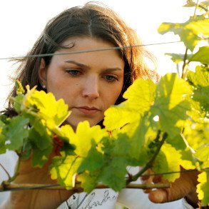 Weedenborn (Rheinhessen)